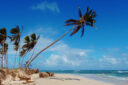 Miami e Repubblica Dominicana