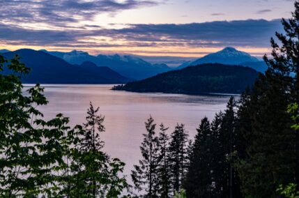 Selvaggio West Canadese