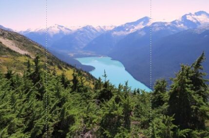 Selvaggio West Canadese