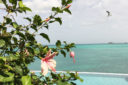 Le più belle spiagge da vedere ad Antigua durante una vacanza romantica