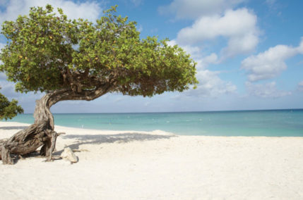 Divi Aruba
