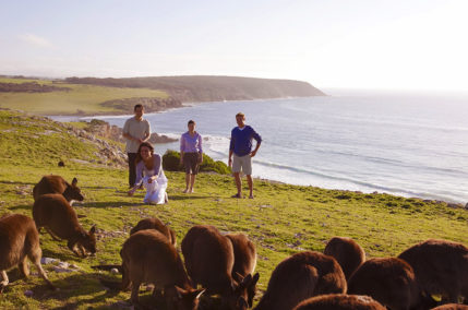 Viaggio natura in Australia