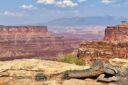 Western Trails