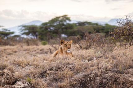 Cosa vedere a Johannesburg, la città più grande e moderna del Sudafrica