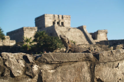 Le migliori destinazioni del Messico