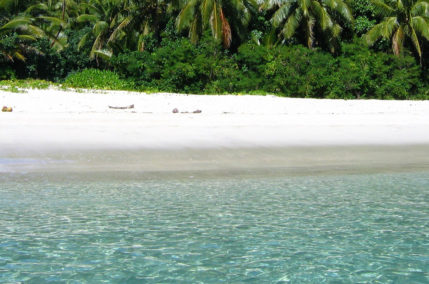 Dai Parchi ai Coralli | Stati Uniti