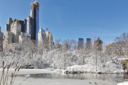Epifania a New York