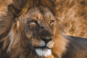 Namibia Classica