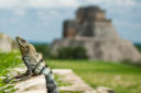 Discover Yucatan & Riviera Maya