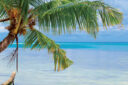 Dubai & Seychelles