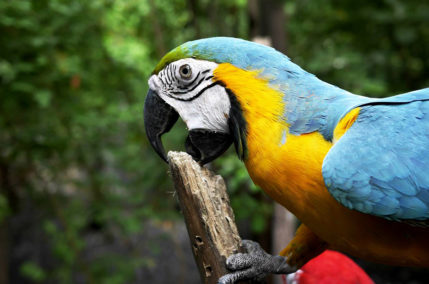 ECUADOR, SULLA LINEA DELL’EQUATORE – Partenza giovedì 24 dicembre 2026