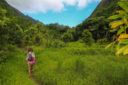 Cosa vedere alle Hawaii: una vacanza tra relax e natura