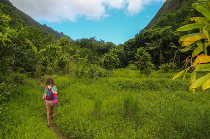 Cosa vedere alle Hawaii: una vacanza tra relax e natura