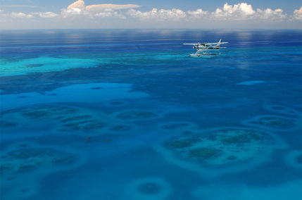 Cosa vedere a Key West, al largo della Florida