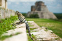 Tour del Centro America sulle orme della Civiltà Maya