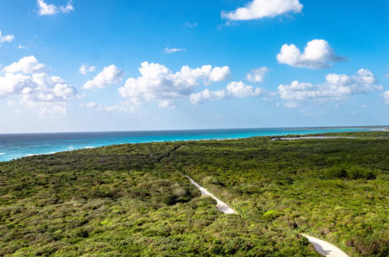 Le isole del Messico più belle da visitare