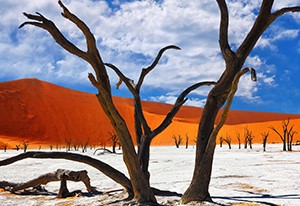 NAMIBIA – L’AFRICA DA SCOPRIRE – Partenza speciale 14 ottobre 2026