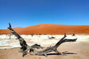 La natura del Sudafrica e della Namibia