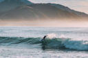 Aotearoa Tour