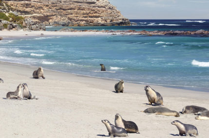 Sea Dragon Lodge & Villas