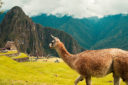 Spedizione Inca