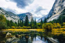 Yosemite e le sequoie giganti